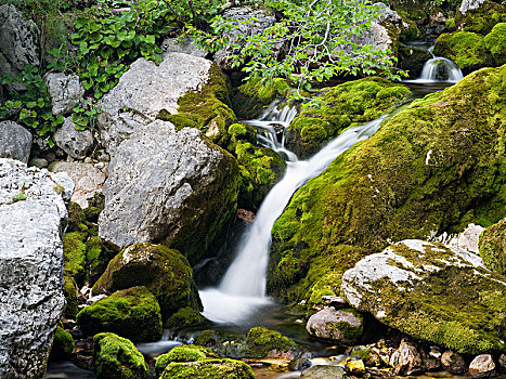 瀑布,特拉维夫,国家公园,朱利安阿尔卑斯,斯洛文尼亚
