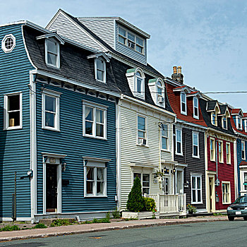彩色,连栋房屋,纽芬兰,拉布拉多犬,加拿大