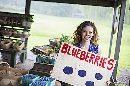 蔬菜,农场,一个人,蓝莓,标识