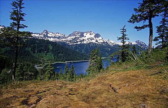 楚加奇山,背景,威廉王子湾,阿拉斯加,美国