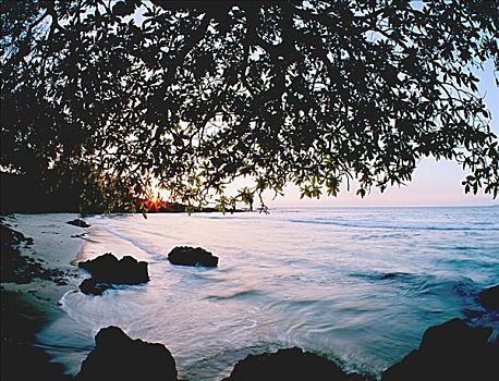 夏威夷,夏威夷大岛,海滩,日落,树枝