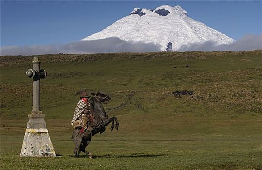 牛仔,家养马,马,靠近,大,十字架,背景,庄园,安迪斯山脉,厄瓜多尔,南美