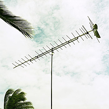 天线,碟形卫星天线,棕榈树