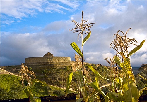 玉米田,靠近,遗址,印加,要塞,厄瓜多尔