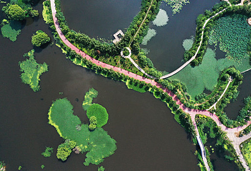 山东枣庄月亮湾国家湿地公园夏日美景