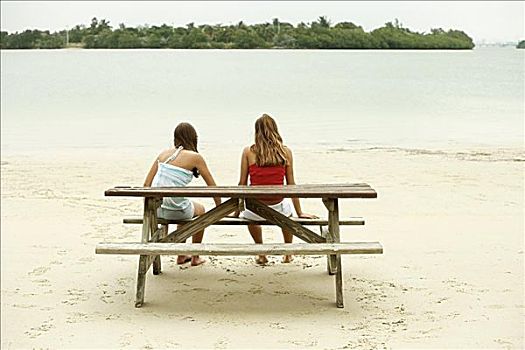 后视图,女孩,女青年,坐,野餐桌,海滩