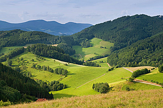 黑森林,风景,靠近,巴登符腾堡,德国,欧洲
