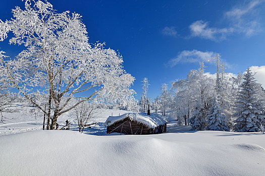 林海雪原中的小木屋