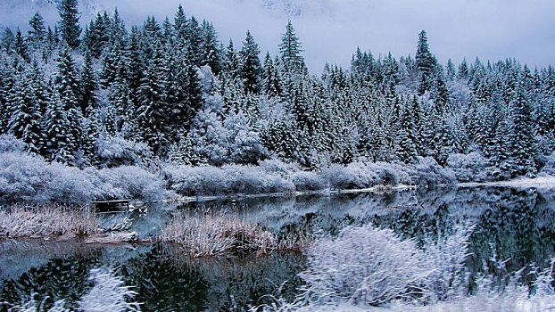 九寨沟,松潘雪景