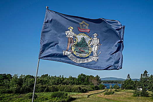 缅因,旗帜,风,上方,阿卡迪亚国家公园,美国