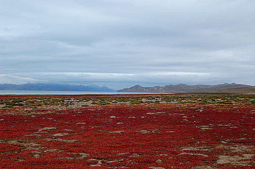 青海花石峡县冬格拉措湖