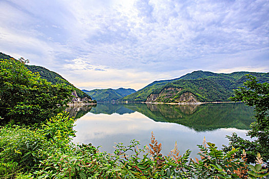 水库,湖面,水,生态