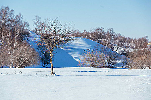 冬季雪地风光