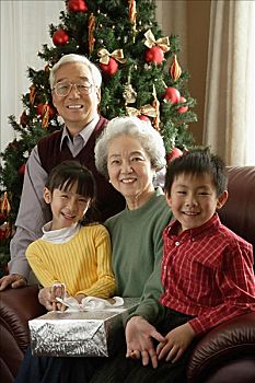 祖父母,孙辈,圣诞时节,看镜头,微笑