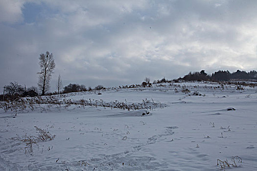 雪乡,雪村,吉林,临江市,村庄,山村,乡村,冬季,雪野,寒冷,农家,接待,旅游,松岭,东北,风情