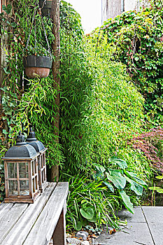 灯笼,木制长椅,竹子,水塘,背景