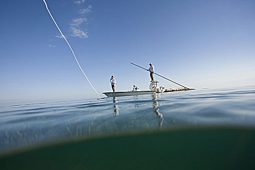 上方,水下视角,两个男人,飞钓,船,靠近,失事船舶,佛罗里达礁岛群,美国