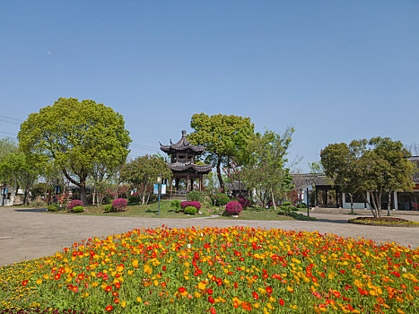 春天的无锡梁鸿湿地