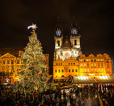 大教堂,圣诞市场,老城广场,夜景,历史,中心,布拉格,波希米亚,捷克共和国,欧洲