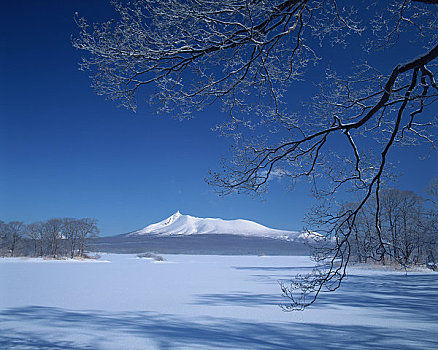 冰冻,枝条,山