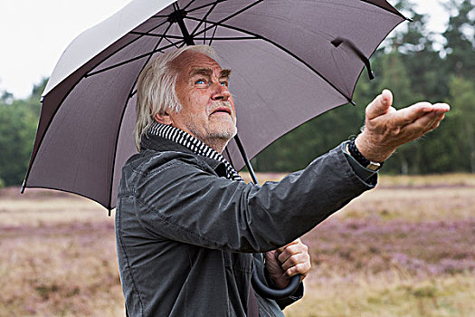 老人,伞,检查,雨