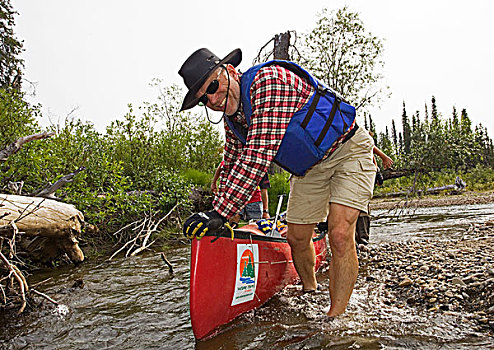 男人,排列,独木舟,走,脚,浅,水,北美驯鹿,溪流,河,育空地区,加拿大