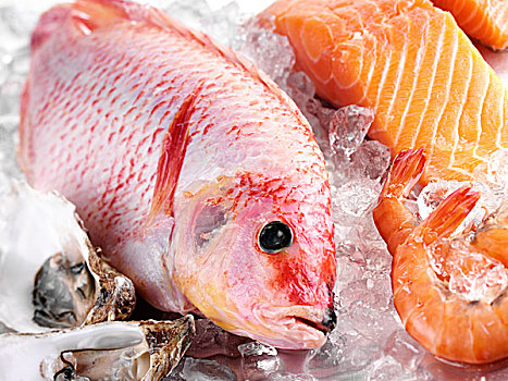 红鲷鱼,鱼肉,奢华