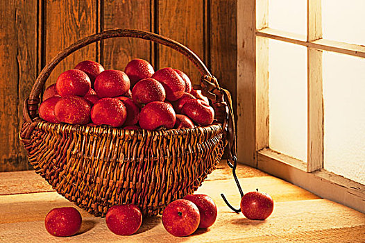 红苹果,冬天,品种,柳条篮