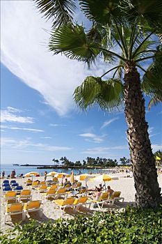 海滩,大加那利岛,加纳利群岛,西班牙