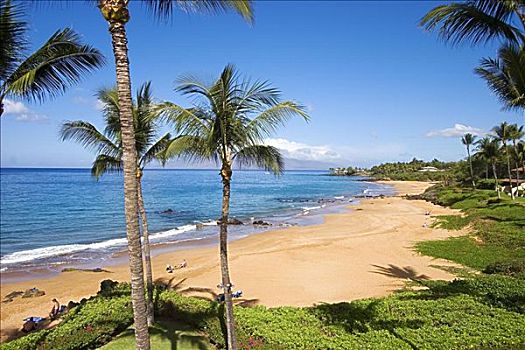 夏威夷,毛伊岛,麦肯那,海滩,正面,海浪,酒店