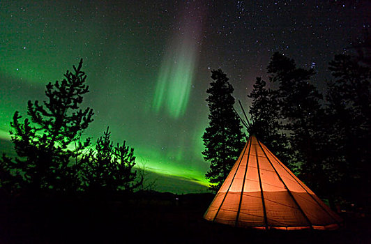 光亮,照亮,圆锥形帐篷,北方,极光,北极光,绿色,靠近,育空地区,加拿大