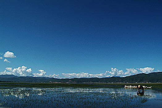 丽江拉市海