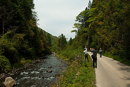 吉林长白山望天鹅景区