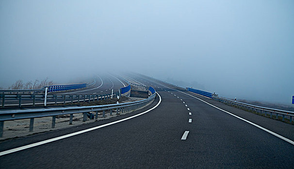 雾状,道路,雾,地平线,低,能见度