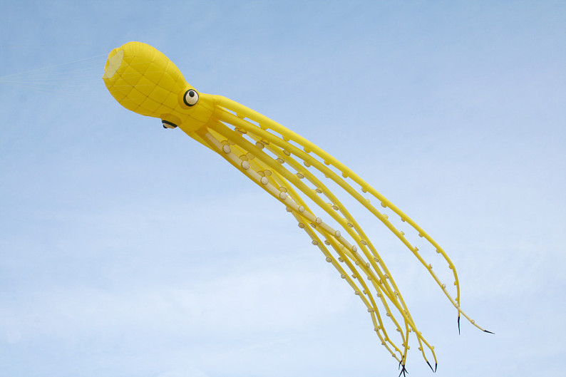 章鱼,风筝,晴天,夏天_高清图片_全景视觉
