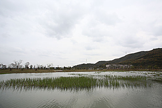 草地,道路,花木,绿色