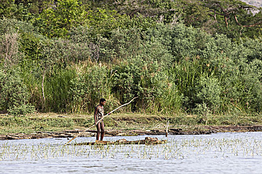 渔民,湖,埃塞俄比亚,简单,乡村,船,筏子,轻巧,木头,非洲