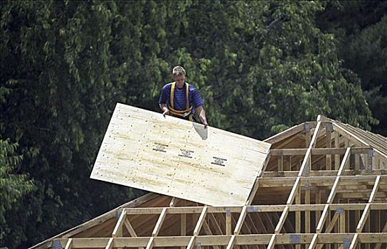 建筑工人,站立,屋顶,拿着,胶合板