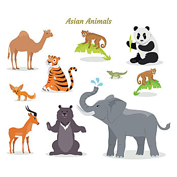 亚洲人,动物,物种,骆驼,熊猫,虎,可爱,矢量,北方,食肉动物,自然,概念,孩子,书本,变色龙,猴子,鹿,大灰熊,大象