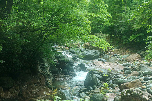 神农架,官门山,风景,景点,旅游,高山,瀑布,河流,神秘,树木,植被,野人,动物,标本,展览,雕塑,蜂箱,养蜂,蜜蜂