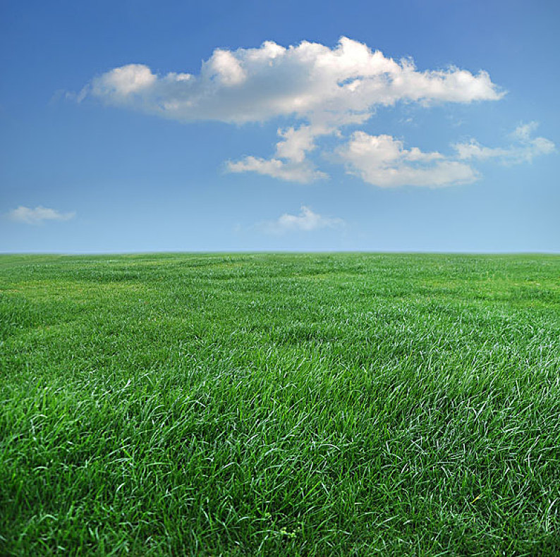 蓝天与绿草地图片_蓝天与绿草地高清图片_全景视觉