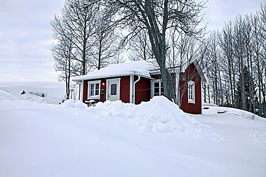 积雪,红色,屋舍