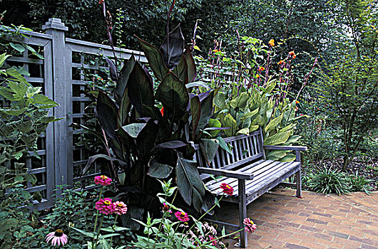 木制长椅,花园