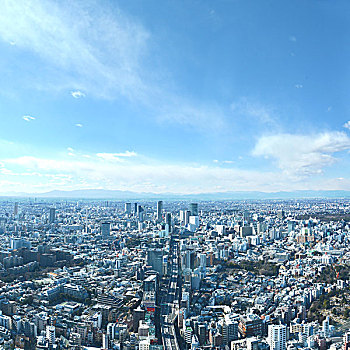 日本,东京,城市,建筑,鸟瞰