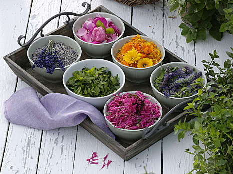 小碗,花,叶子,茶,药草