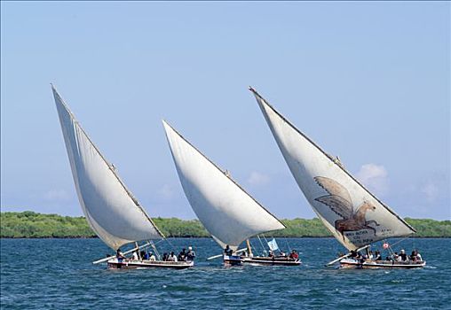 独桅三角帆船,航行,拉姆岛,文字,木质,帆船,非洲,海岸,许多,船