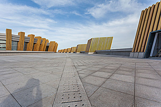 内蒙古鄂尔多斯体育中心