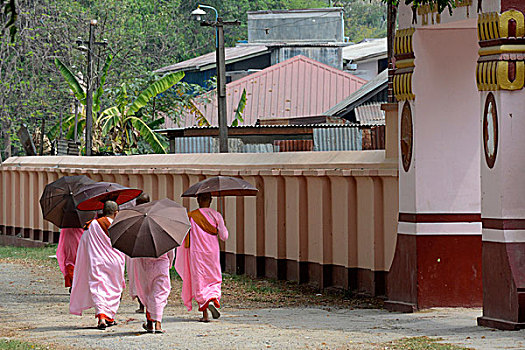 亚洲,缅甸,女僧侣