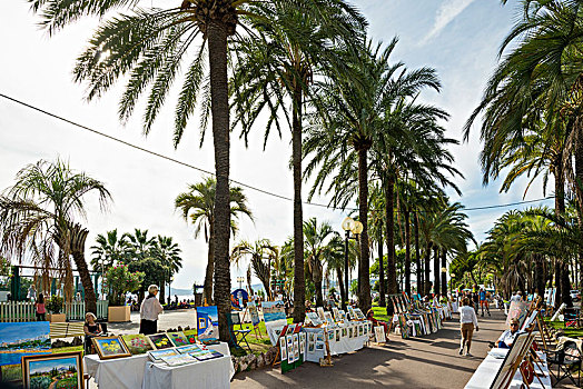 棕榈树,海滩,散步场所,戛纳,法国南部,法国,欧洲