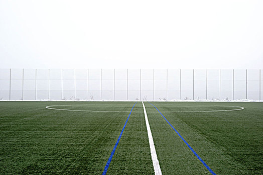 青草,场地,足球场,雾
